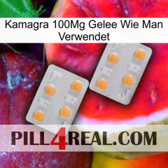 Kamagra 100Mg Jelly How To Use 25